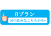 Bプラン/ターゲティング広告