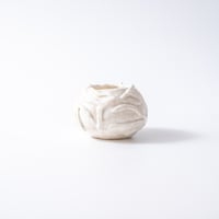AMYDEPANA / a nest 02