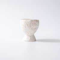 AMYDEPANA / cup 02