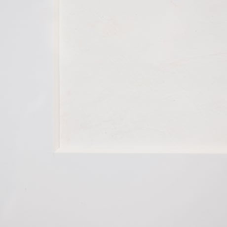中村菜月 / おおきくてあたたかなしろいいぬ