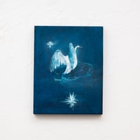 中村菜月 / 白鳥と星