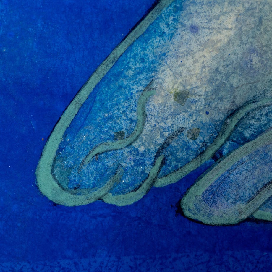 64e097063626e40001ab41ef
