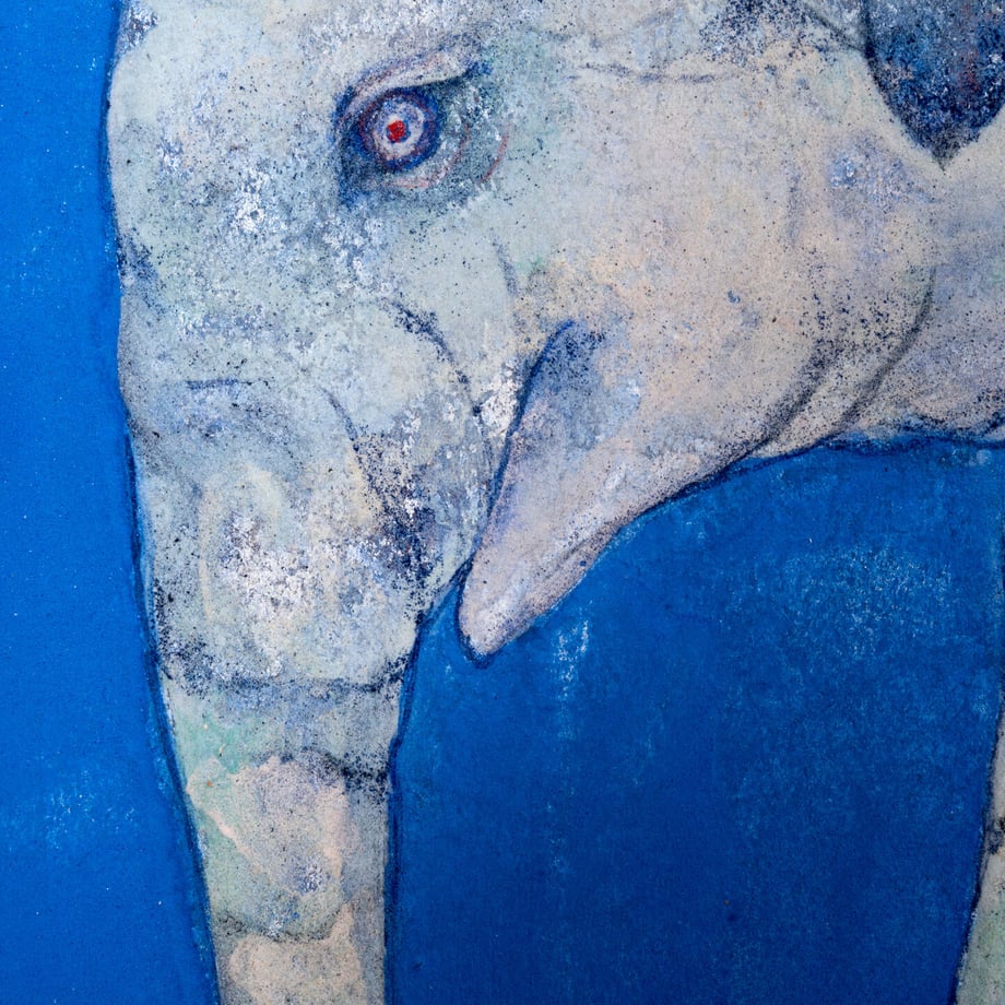 64e097063626e40001ab41ec