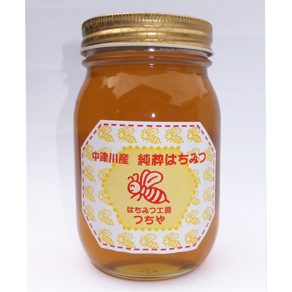 国産純粋 山蜂蜜　600g　×6本 国産純粋 山蜂蜜 600g ×6本 国産純粋 山蜂蜜 600g ×6本