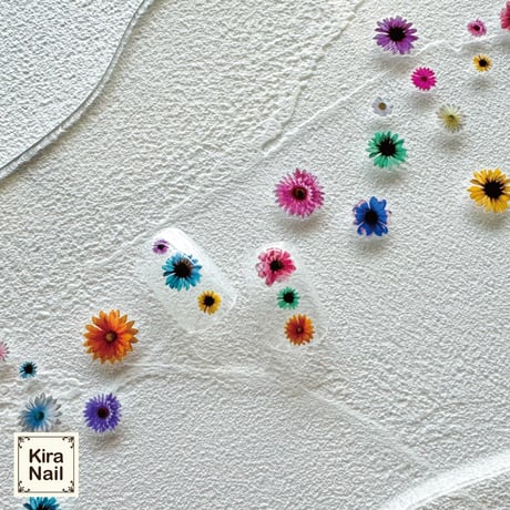 KiraNail maiプロデュース fleurs colorees