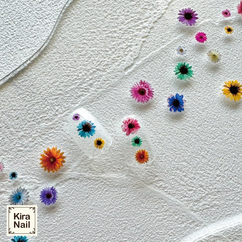 KiraNail maiプロデュース fleurs colorees | Kira Nail KiraNail maiプロデュース fleurs colorees | Kira Nail