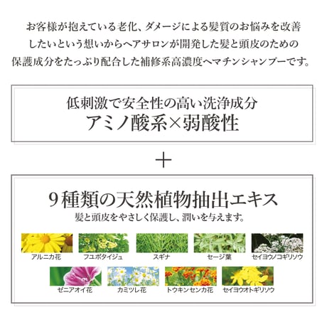 zen フィックスシャンプー