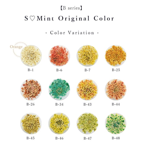 S♡Mint 【Bシリーズ[Orange]0.1g入り】