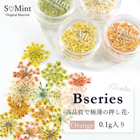 CATEGORY S♡Mint | Kira Nail