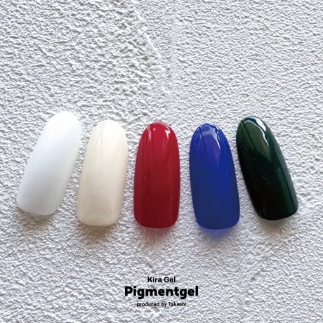 KiraNail  Takeshi プロデュース Pigmentgel (ピグメントジェル)