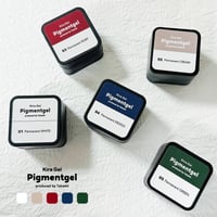 KiraNail  Takeshi プロデュース Pigmentgel (ピグメントジェル)