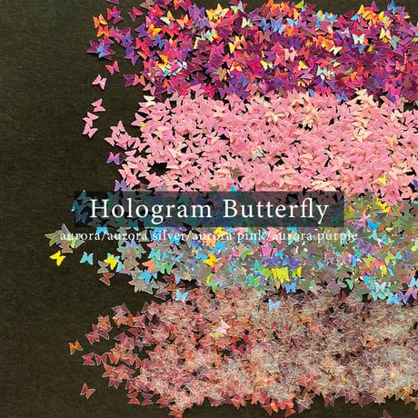 KiraNail HOLOGRAM バタフライ ケース入