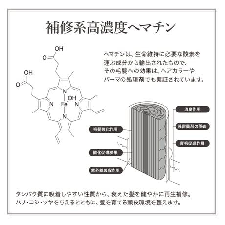 zen フィックスシャンプー