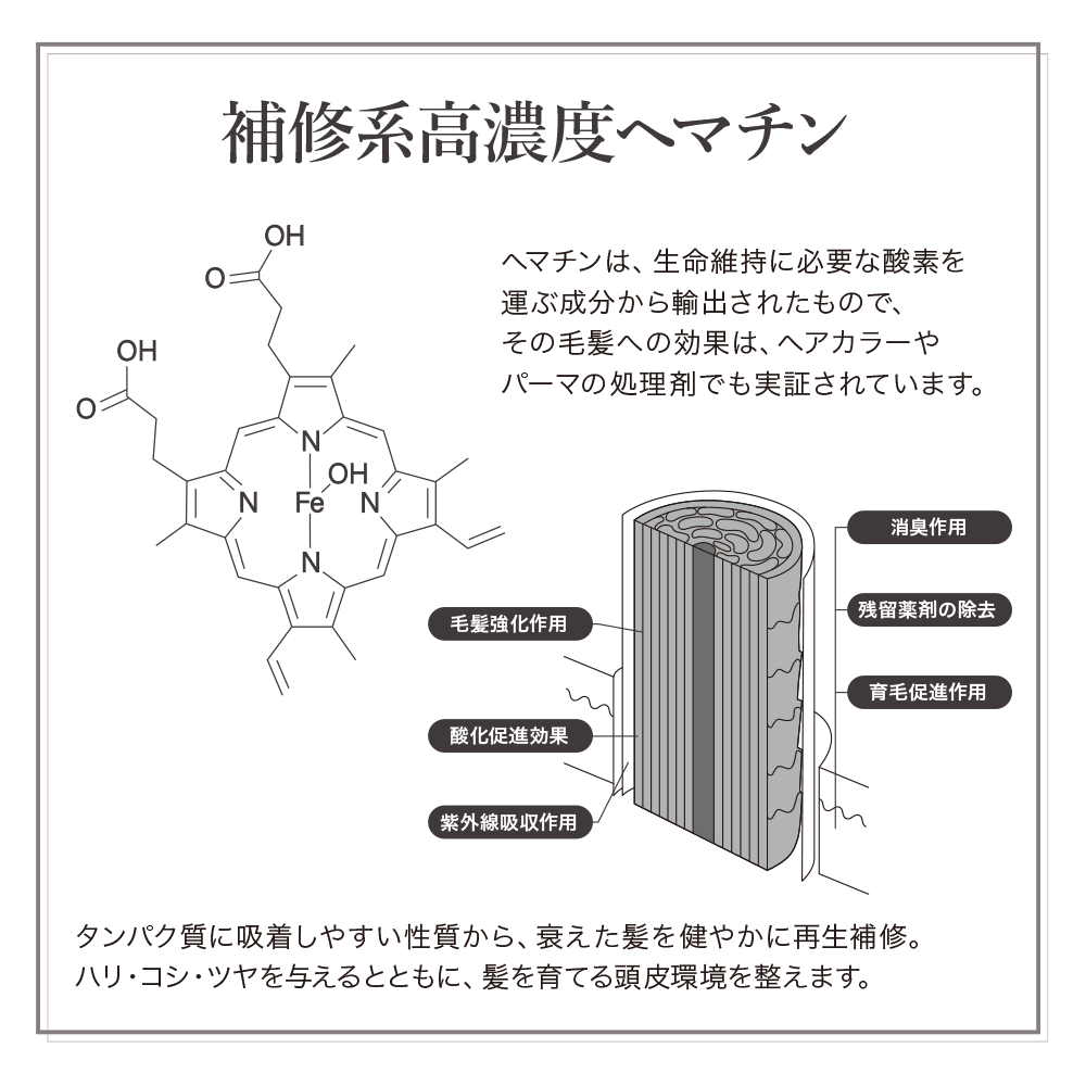 zen フィックスシャンプー | Kira Nail