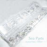 KiraNail 海パーツセット シルバー