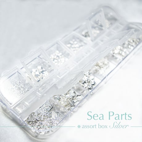 KiraNail 海パーツセット シルバー