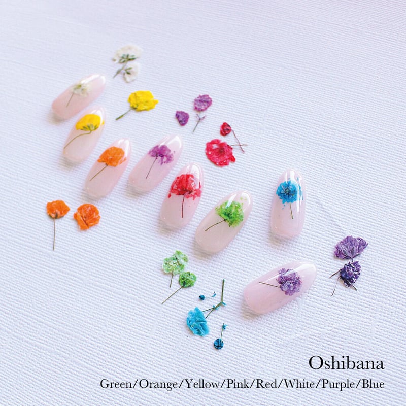 KiraNail 押し花 全10色 | Kira Nail