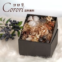 ナチュラルボックス　「コロリ」