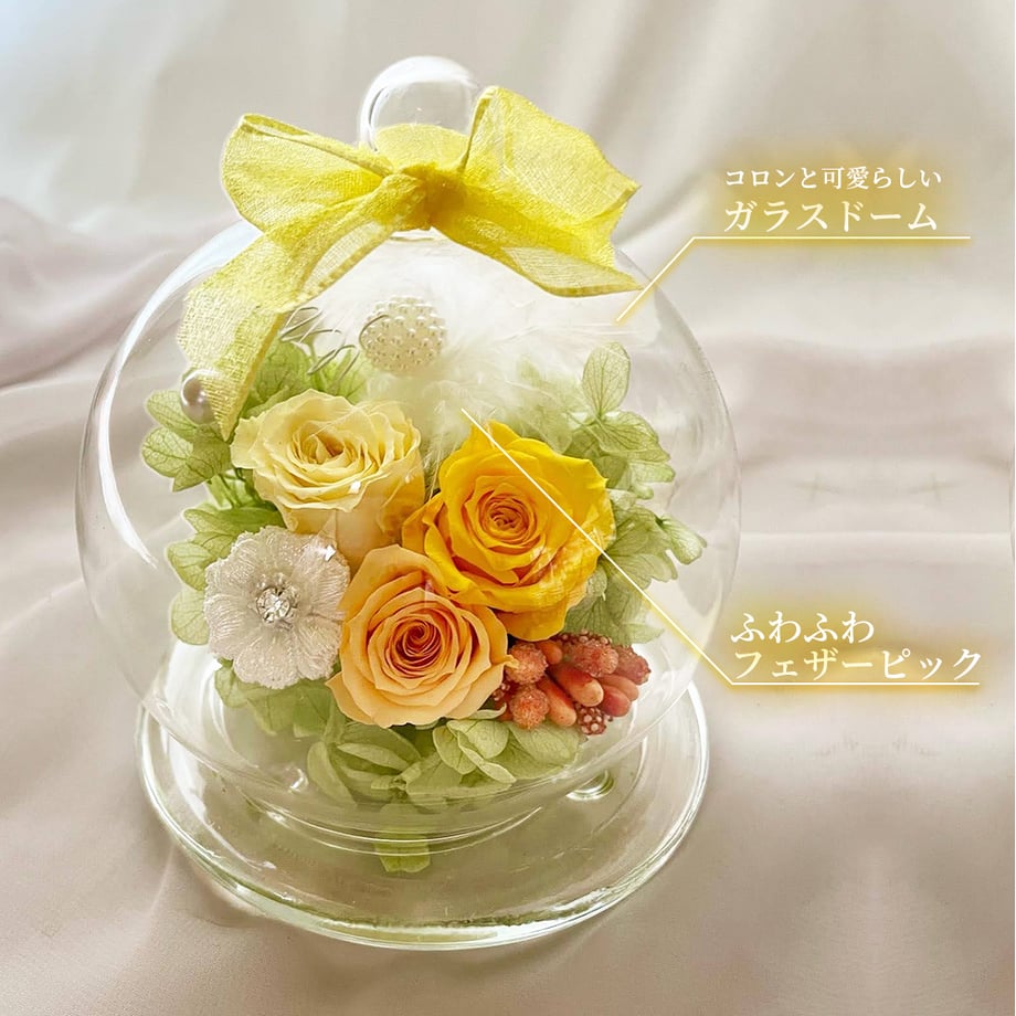 5db9288e9658033bd43124f1