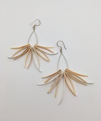 シェルのピアス