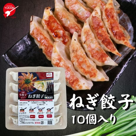 送料無料　冷凍【大阪ねぎ餃子10個】とお好み焼【豚玉＆もちチーズ各２枚】セット