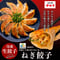 冷凍 大阪ねぎ餃子 18g×20個