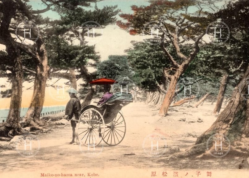 兵庫 舞子の浜松原 人力車 女性 1907年〜1918年（明治40年4月〜大正7年