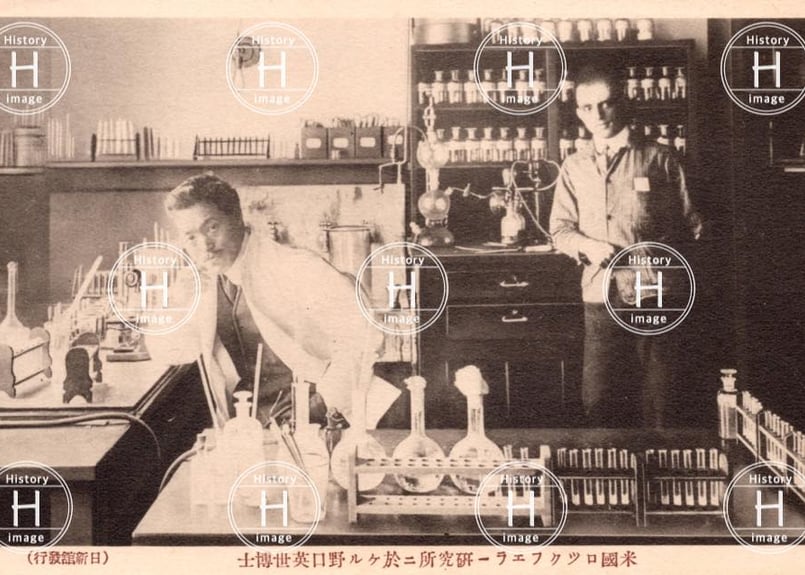 野口英世・ロックフェラー研究所・フレクスナー博士・1904年〜1928年