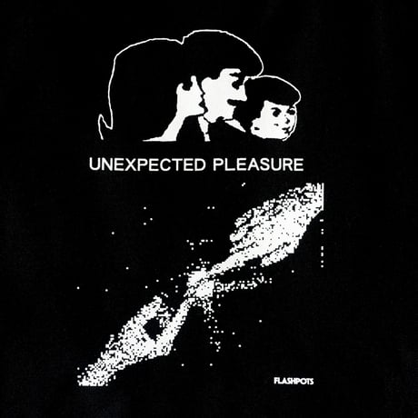UNEXPECTED PLEASURE TOTE