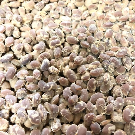 セツコさんのねばねば納豆　180g