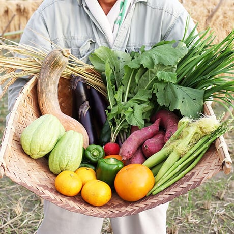 館長おすすめ！旬の野菜セット　80～100サイズ(野菜7品〜8品)