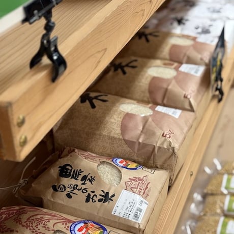 銘柄お任せ甲佐米 R7年産　5kg