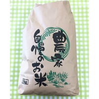 銘柄お任せ甲佐米 R7年産　5kg