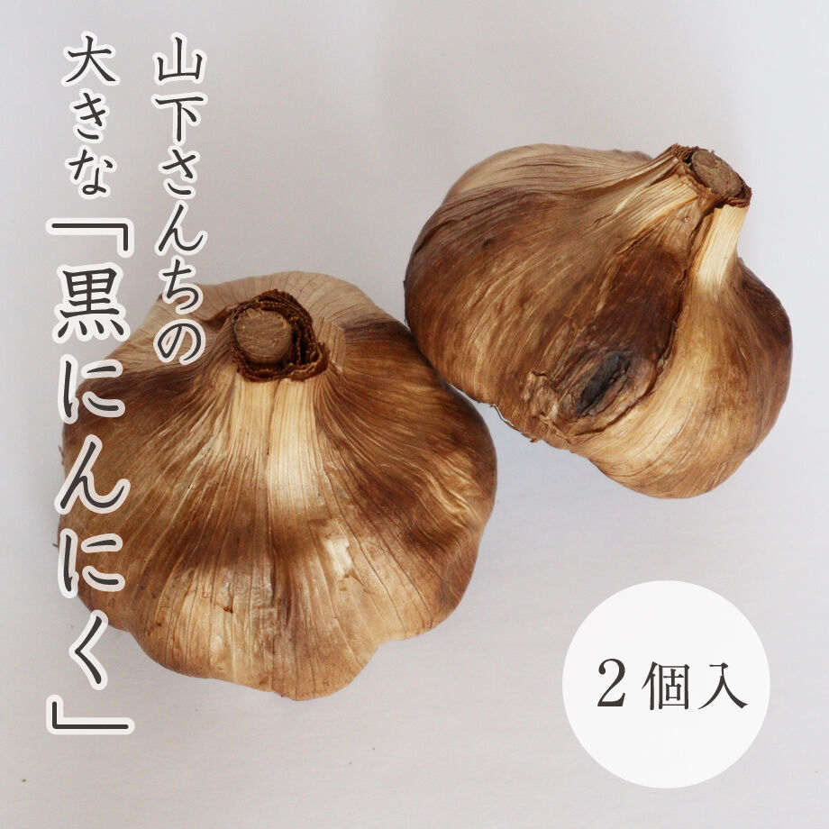 60ca15e446e30e66f579f828