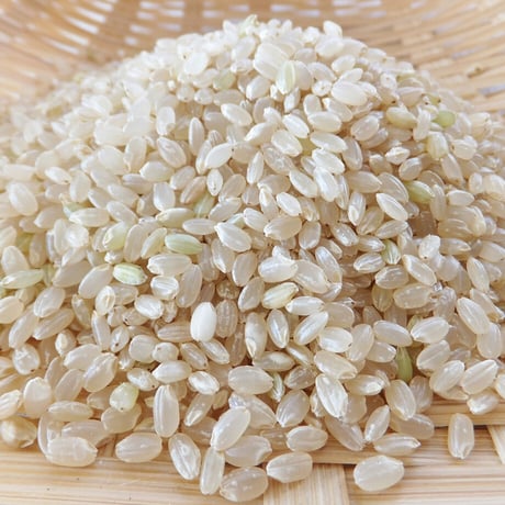 きよむら農園「かけ干し米」　玄米(2kg)※数量限定