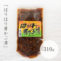 はりはり芽かぶ漬　310g