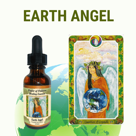 サポートを必要とする人のフラワーエッセンス　アースエンジェルブレンド Earth Angel Blend