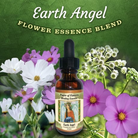 サポートを必要とする人のフラワーエッセンス　アースエンジェルブレンド Earth Angel Blend