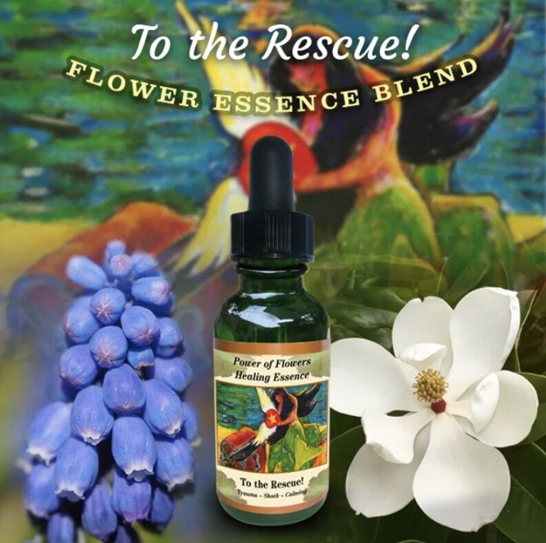 予約品】トゥーザレスキュー『トラウマ、ショック、落ち着き