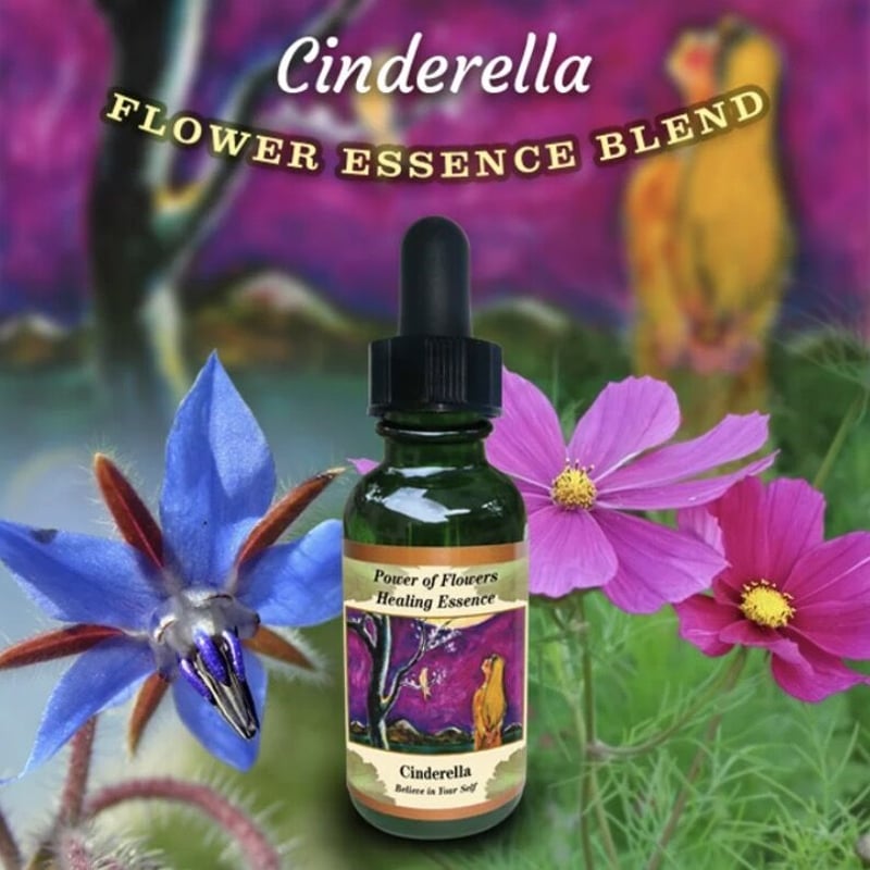 予約』シンデレラ『自分を信じる』パワーオブフラワーエッセンス