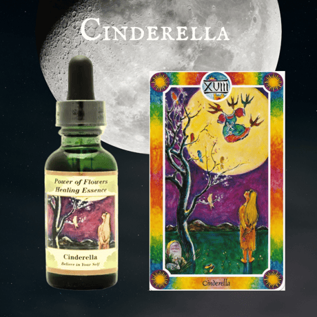 CATEGORY フラワーエッセンス | タロットショップ