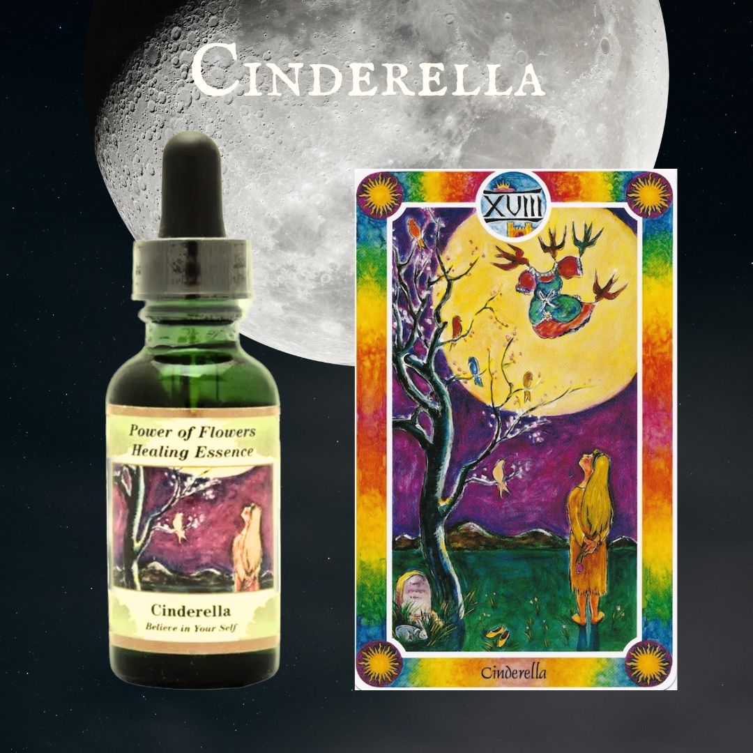 予約』シンデレラ『自分を信じる』パワーオブフラワーエッセンス　フラワーエッセンス 予約』シンデレラ『自分を信じる』パワーオブフラワーエッセンス