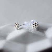 silver925  さんごピアス