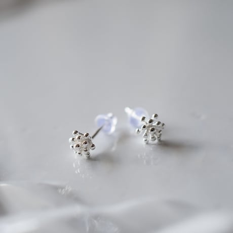 silver925  さんごピアス