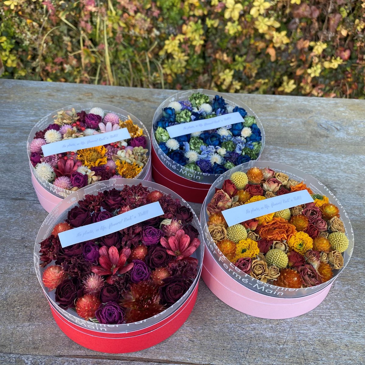 シャドウボックス　フラワー 世界遺産と奏でる3Dフラワーアートの世界 ボックス型フラワー