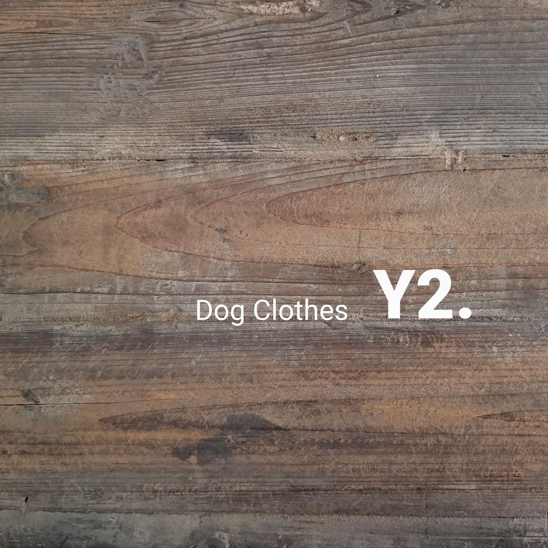 Dog clothes  Y2.