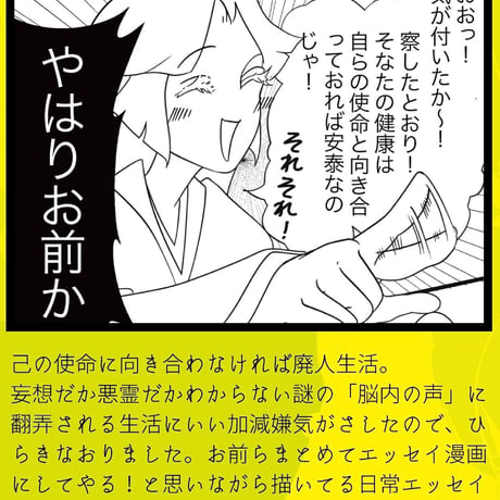 「高次の存在たちがうるさいので、ひらきなおって漫画にしてやる」エッセイ漫画同人誌