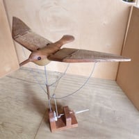 シロチドリのオートマタ