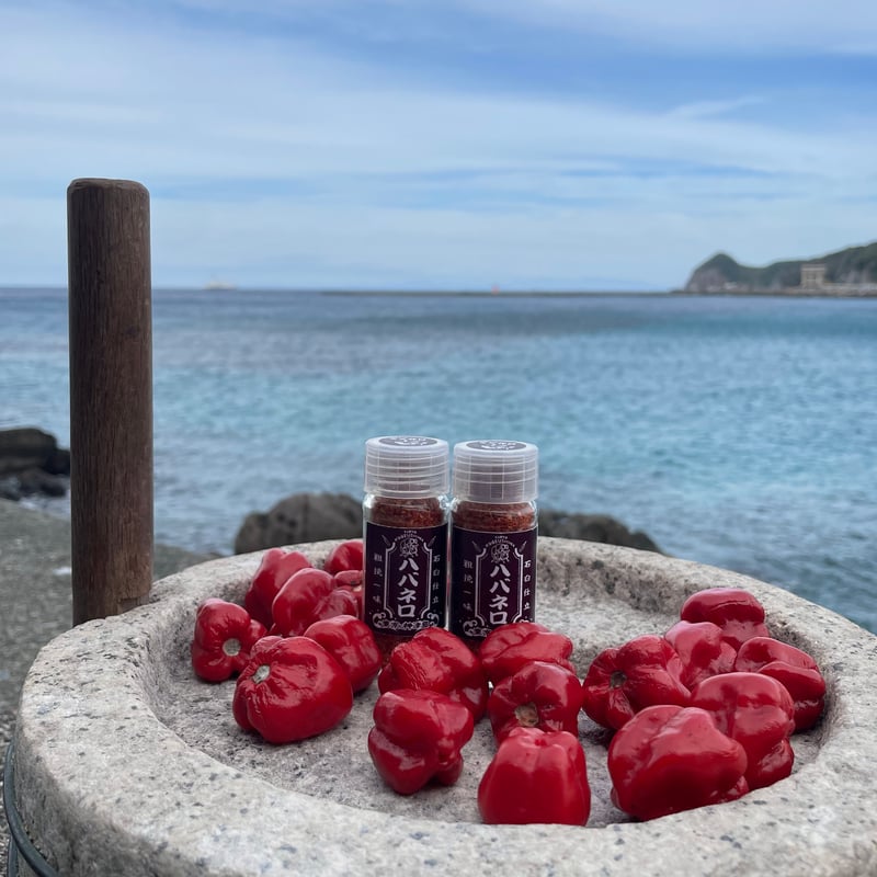 ヴァイス　オバロ　赤　まとめ　16種　53枚 一味ハバネロ（神津島産、乾燥粒子）瓶入り/14g | Island Fruit Garden