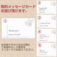 【オプション】無料メッセージカード